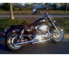 2007 Harley XL1200l - $7000 (new york)