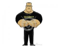 Personel private security and night club bars and events (Chelsea)