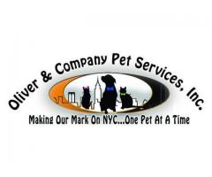 Oliver and Company Pet Services, Inc Dog Walking & Pet Sitting (Upper West Side, NYC)