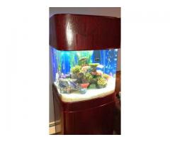 Fish Tank 55 Gallon Glass Round Front w/Wood Cabinet & MORE - $800 (fresh meadows, NY)