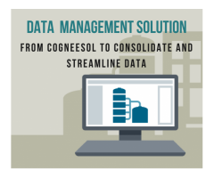 Data Quality Management Solutions for Industries
