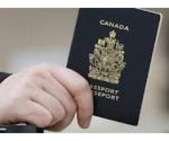 How to Apply for a new passport  (+1 929-367-7910)