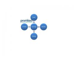Use of endpoint management software with Promisec