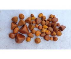 Cow /Ox Gallstones,Tiger , Lion teeth ,Salted Donkey Skin / Donkey Hides Dry Salted Wet