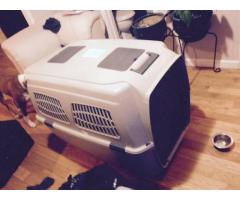 X-large Airline travel dog kennel for sale - $60 (Kew Gardens, NY)