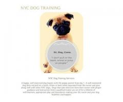 NEW YORK DOG TRAINING SERVICES (Murray Hill, NYC)