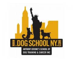 Dog Training Available at Anthony Jerone's School of Dog Training & Career, Inc. (Queens, NYC)