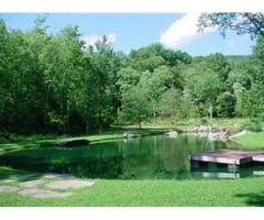Architect-designed house for rent 1500 mo + utils (faces Shawangunk Ridge and pond)