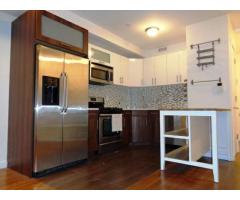$2997 / 1br -Spectacular Duplex for Rent - High End Amenities (clinton hill, NYC)