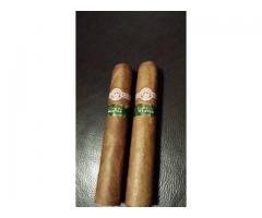 Chihuahua Cuban Cigars for Sale 2 COHIBA AND 2 MONTECRISTO - $200 (Williamsburg, NYC)