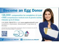 Egg Donors of Irish & British Descents Needed- $8,000 (Midtown East, NYC)