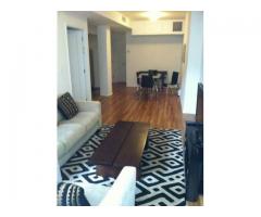 $4250 / 1br - Large Brand New Furnished Luxury Apartment for Short Term Lease (Downtown, NYC)