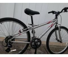 Schwinn Frontier Mountain bike size 13" - $115 (Brooklyn, NYC)