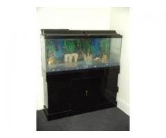 Aquarium with cabinet stand for sale - $500 (Brooklyn, NYC)