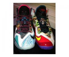 LeBrons 11 PREMIUM  "What the LeBron" SHOES for Sale - $600 (QUEENS CENTER MALL, NYC)
