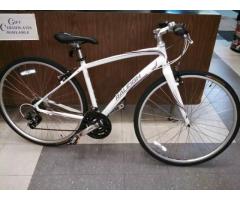 BRAND NEW RALEIGH ALYSA 1 LADY'S FLAT BAR HYBRID - $395 (Queens, NYC)