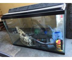 Fish tank for Sale - $50 (Centereach, NY)