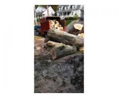 SNOW PLOWING TREE PRUNING REMOVAL STUMP GRINDING SERVICE AVAILABLE (Ossining NY)