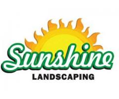 Holiday Clean-ups Are Booming - Sunshine Landscaping Available We Don't Get Cold - (Brooklyn, NYC)
