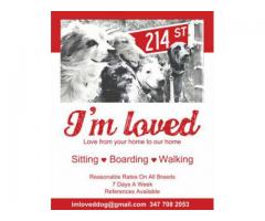 I'm Loved Dog Sitter: Love Prices (Hill Park, Inwood, NY)