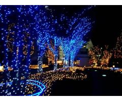 CHRISTMAS LIGHTS INSTALLATION & SNOW REMOVAL SERVICE AVAILABLE - (STATEN ISLAND, NYC)