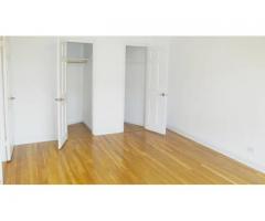 $675000 / 1br - NEWLY RENOVATED Apartment in Elevatored Building for Sale - (Prospect Heights, NYC)