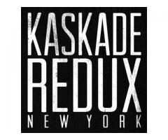 KASKADE @ Pier 36 12/30 Hardcopy Tickets for Sale - $5 (Gramercy, NYC)