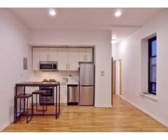 $3000 / 2br - Nice Apartment for Rent Elevator Laundry near 2 /3 Trains - (Brooklyn Heights, NYC)