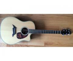 Breedlove D25/ SRH Pro-Series/ Acoustic-Electric Guitar USA MODEL for Sale - $1200 (bayside, NY)