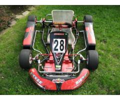 Biesse Race Go Kart for Sale - $700 (Nassau / Queens Border, NY)