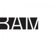 BAM Brooklyn Academy of Music MBA Summer Internship Available - (Brooklyn, NYC)