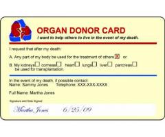 ORGAN donor on your License desparately need a kidney to live - (new york city, NY)