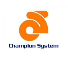 PR/ Marketing Position Open at Champion System - (Brooklyn, NYC)