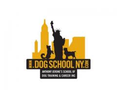 Anthony Jerone's School of Dog Training - (Whitestone, NY)
