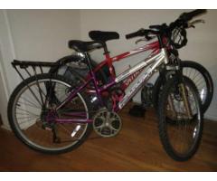 Bicycle Raleigh USA Mountain Bike for Sale Like New - $135 (Forest Hills, NYC)