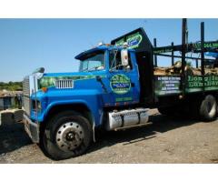 TREE AND LAND SERVICE w/ Great prices and quality - (Setauket, NY)
