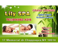 Asian Body Work Lily Spa - (Chappaqua, NY)