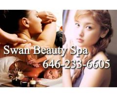 Brand New Swan Beauty Spa - (New Rochelle, NY)