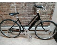 Special Edition Puma 8-Speed Large Cruiser Bike for Sale - $300 (216 Hoyt St., Brroklyn, NYC)