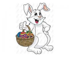 EASTER CREW NEEDED - (BAY PLAZA, BRONX, NYC))