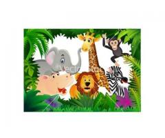 CERTIFIED SAFARI DAYCARE - 20 YEARS OF EXPERIENCE - ACCEPT ALL AGES - (FLUSHING, NY)