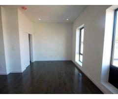 $1950 / 1br - GREAT DEAL on ONE Bedroom Apartment for Rent - Amazing location - (Bedstuy, NYC)
