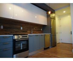 $2445 / 2br - LUXURY HIGH END APT in NEW BUIDLING for Rent LAUNDRY GYM ROOF YARD - (Bedstuy, NYC)