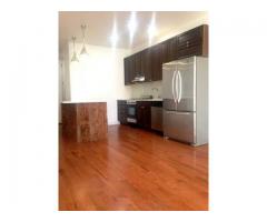 $3997 / 4br - SUPER SPACIOUS APT FOR RENT ALL NEW DISHWASHER 2 FULL BATH - (Bed Stuy, NYC)