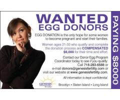 Become an Egg Donor - Earn $8,000.00 - (New York City)