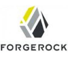 ForgeRock Seeks Technical Engagement Manager - (NYC)