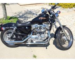 MINT 2000 Harley Sportster XL Custom for Sale - $4500 (Nassau, NY)