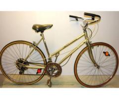 AMF Pacemaker bike for sale - $100 (Brooklyn, NYC)