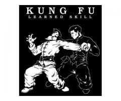 Private Kung Fu Training - (Midtown, NYC)