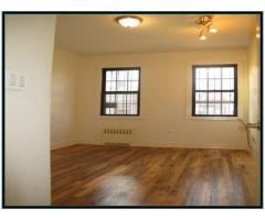 $3100 / 3br - EXTRAORDINARY DUPLEX APT FOR RENT BACKYARD HUGE LIVING AREA - (East Williamsburg, NYC)